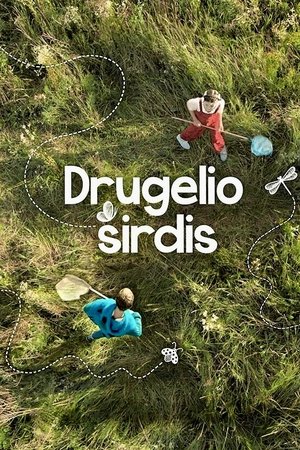 Motýlí srdce
