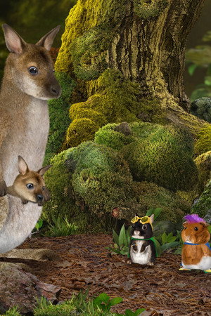 Help the Wallabies! / Help the Slimy Slug!