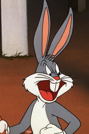 The Grey Hounded Hare