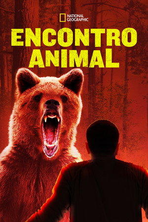 Encontro Animal