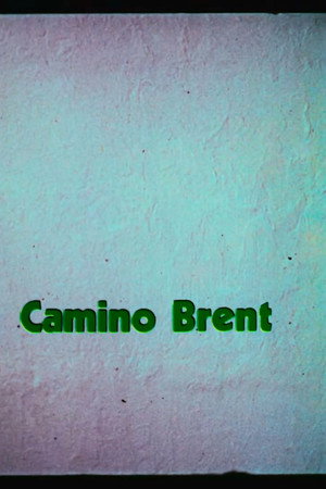 Enrique Camino Brent