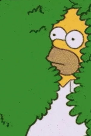 GIF: Feelings on a Loop