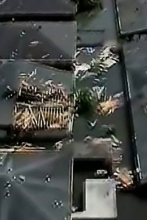 Chaos In The Hurricane
