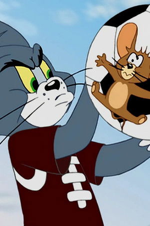 Katastrofa na kočičí show