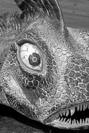 13. epizoda