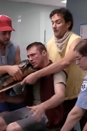 episode