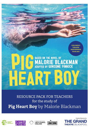 Pig Heart Boy