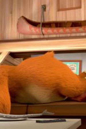 Protřepaný medvěd