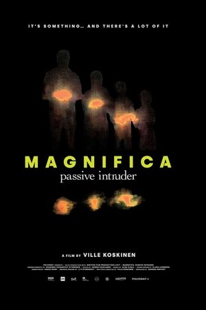 Magnifica – Passive Intruder