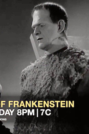 Son of Frankenstein (1939)