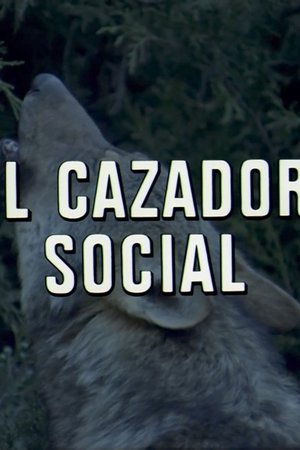50. epizoda
