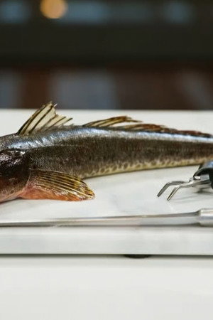 Skills Challenge: Fish Butchery