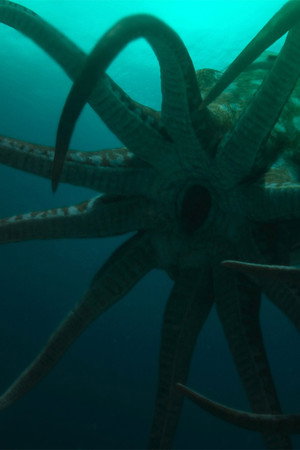 When the Oceans Shrank