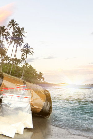 Cartel Paradise - Fiji