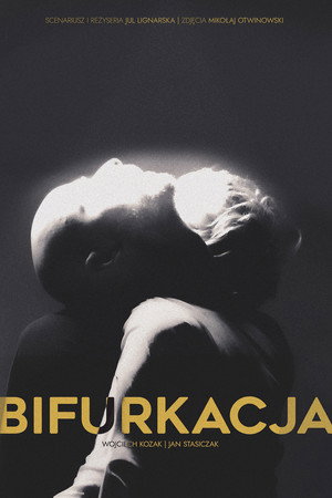 Bifurkacja