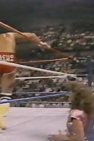 August 13, 1988 - Superstars of Wrestling 102
