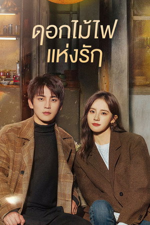 ดอกไม้ไฟแห่งรัก