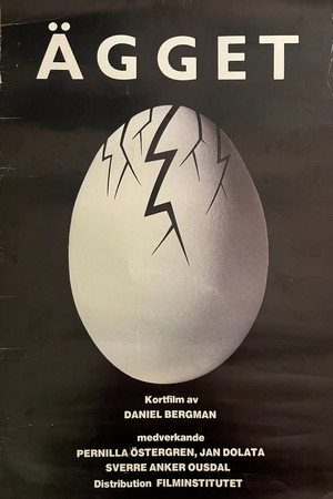 The Egg