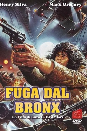 Fuga dal Bronx