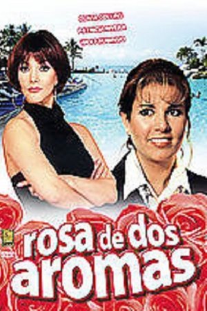 Rosa de dos aromas