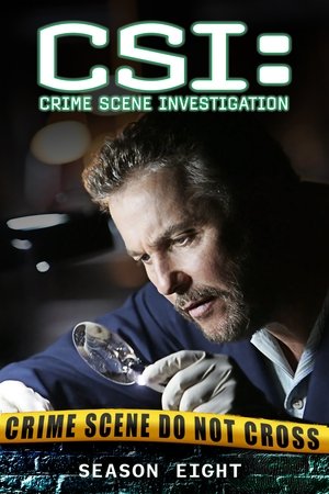 Temporada 8