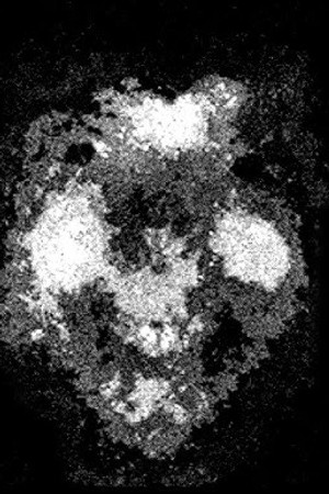 Anomalies du Web (Vol. 3) - Findings N°112