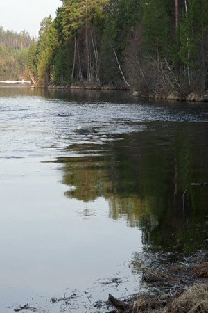 15. epizoda