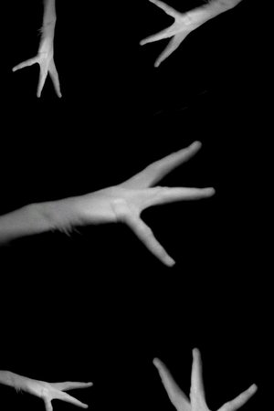 Phantom Hand