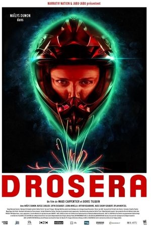 Drosera