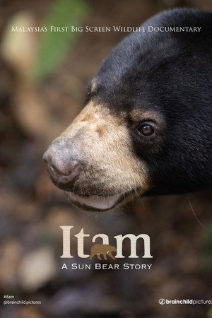 Itam: A Sun Bear Story