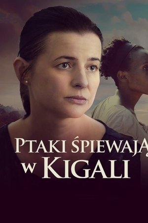 Ptáci zpívají v Kigali