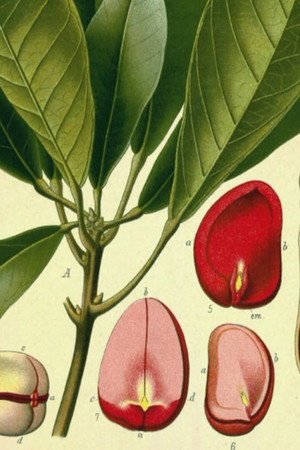 1. epizoda
