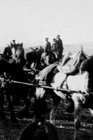 Transport d'une tourelle par un attelage de 60 chevaux