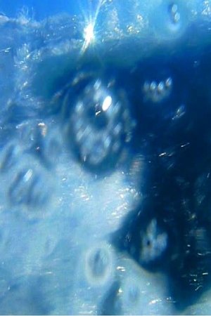 A fleur d’eau…