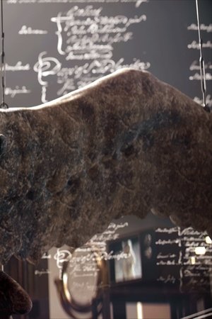 6. epizoda