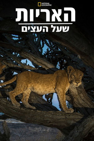 האריות שעל העצים