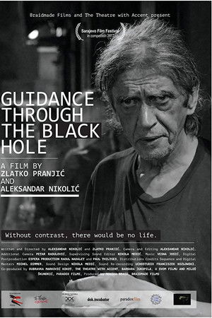 Guidance Through the Black Hole
