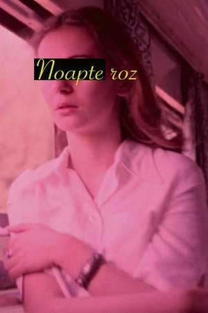 Noapte roz