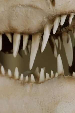 18. epizoda