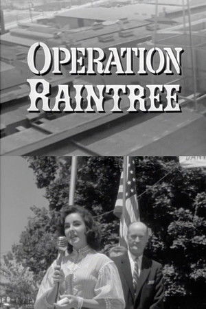 Operation Raintree
