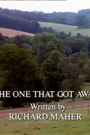 The One That Got Away