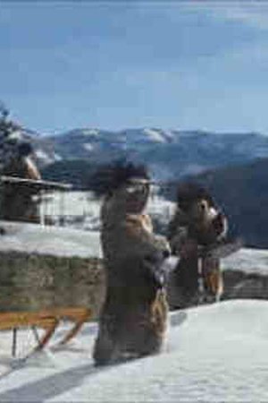 7. epizoda