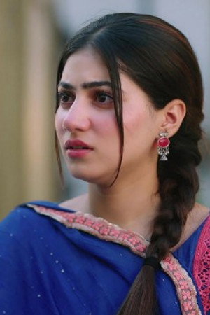 Will Heer Choose Nawab?