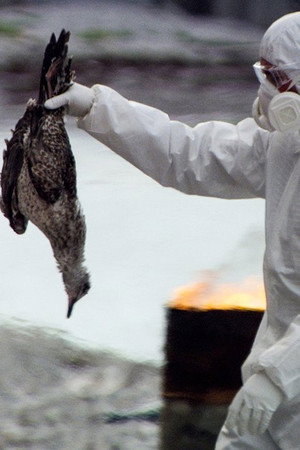 Fatal Contamination (2)