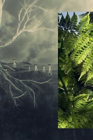 4. epizoda
