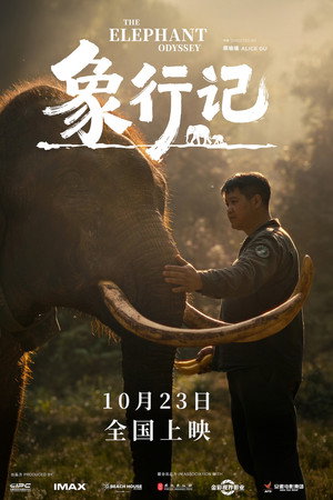 The Elephant Odyssey