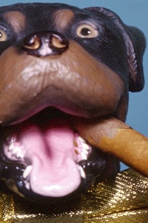 Late Night with Conan O'Brien: The Best of Triumph the Insult Comic Dog