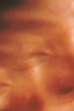 Son of Sauna