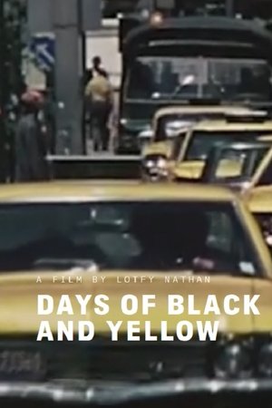 Days of Black and Yellow