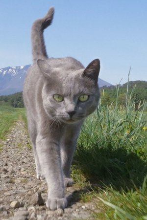 18. epizoda